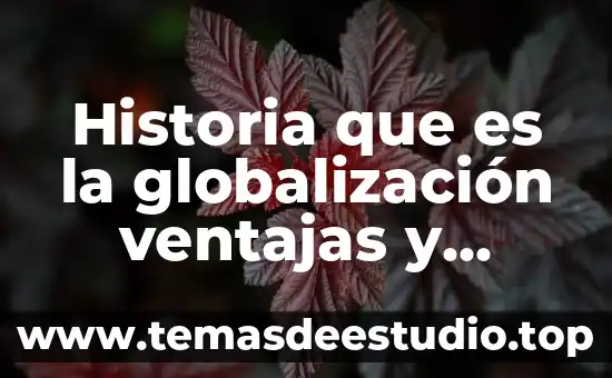 Historia que es la globalización ventajas y desventajas
