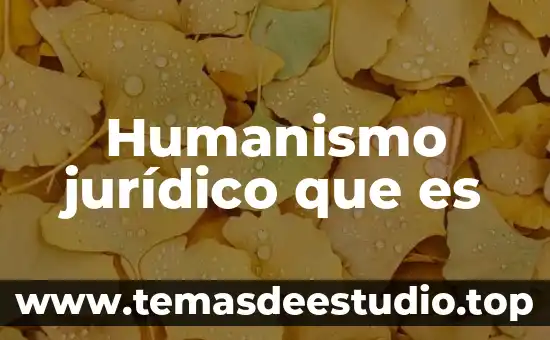 Que es pupilo concepto juridico 5 Humanismo jurídico que es