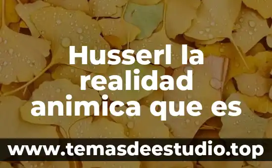 Qué es arquitectura.edu 5 Husserl la realidad animica que es