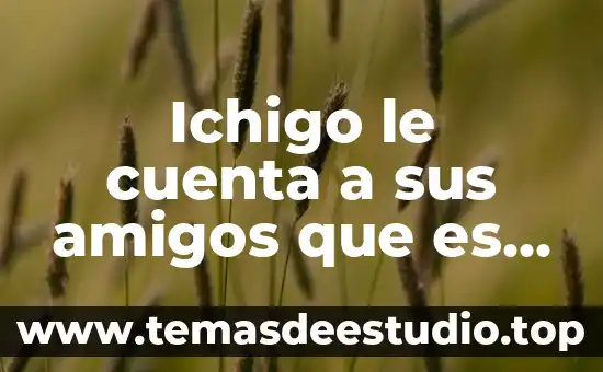 Cuenta de impuestos que es 4 Ichigo le cuenta a sus amigos que es un Shinigami