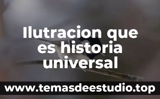 Qué es el código universal mercado libre 8 Ilutracion que es historia universal