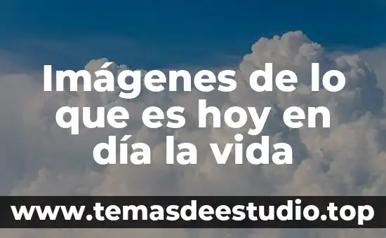 Que es ser docente hoy en dia 8 Imágenes de lo que es hoy en día la vida