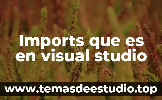Motricidad visual niños que es 6 Imports que es en visual studio