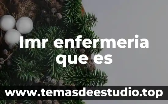 Imr enfermeria que es