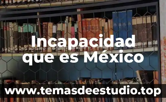 Incapacidad que es México