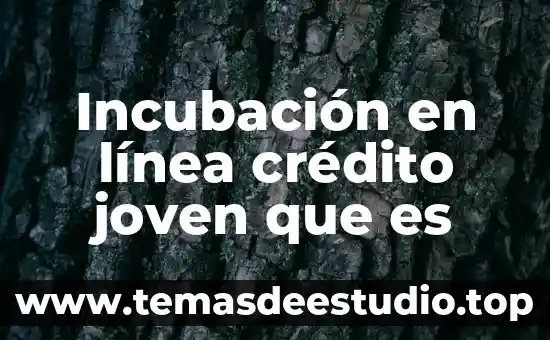 Qué es el número de crédito en automóvil buró 3 Incubación en línea crédito joven que es