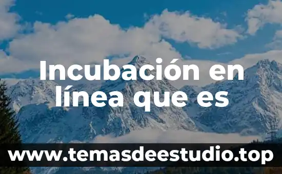 Qué es la línea de overbite y overjet 4 Incubación en línea que es