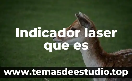 Qué es mejor CNC o corte láser 3 Indicador laser que es
