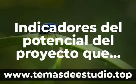 Qué es cobertura en los indicadores académicos 4 Indicadores del potencial del proyecto que es