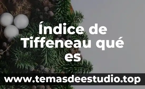 Qué es un tabla de contenido índice generar 6 Índice de Tiffeneau qué es