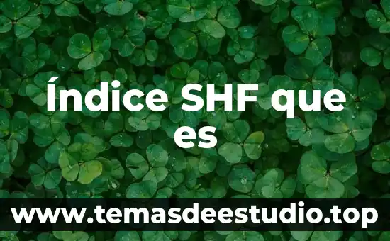 Que es notacion en un indice 5 Índice SHF que es