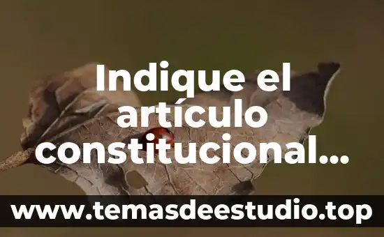 Que es un antecedente en investigacion 5 Indique el artículo constitucional que es antecedente obligado del sindicato