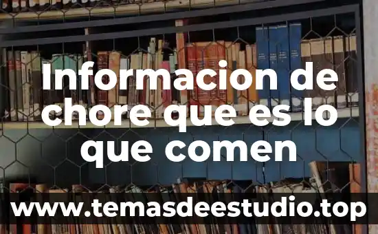 Que es lo que mas comen las cucarachas 5 Informacion de chore que es lo que comen