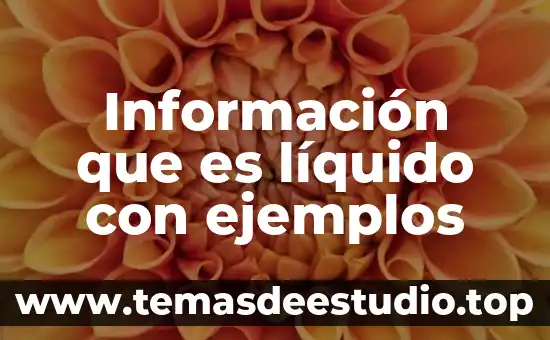 Información que es líquido con ejemplos