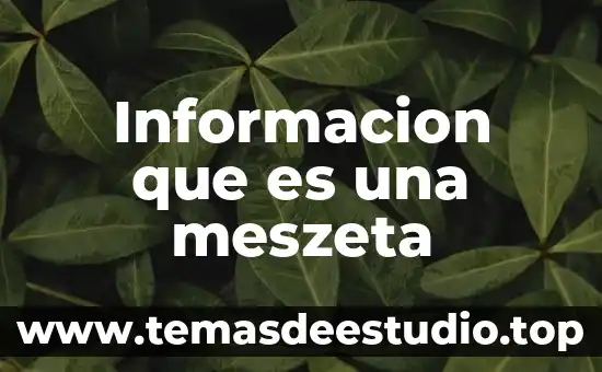 Que es ser chef 8 Informacion que es una meszeta