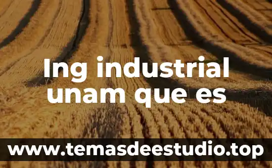 Que es una conclusión unam 5 Ing industrial unam que es