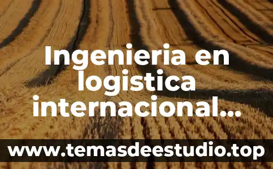 Ingenieria en logistica internacional que es