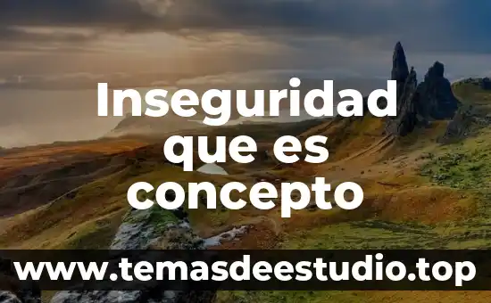 Inseguridad que es concepto
