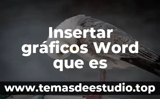 Insertar gráficos Word que es