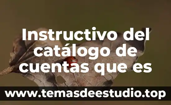 Qué es un texto instructivo tipos 5 Instructivo del catálogo de cuentas que es