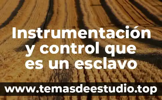 Instrumentación y control que es un esclavo