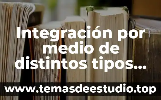Integración por medio de distintos tipos de interdependencias