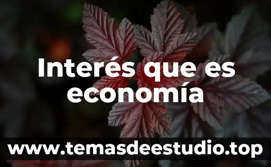 Por que es importante el interes compuesto 3 Interés que es economía