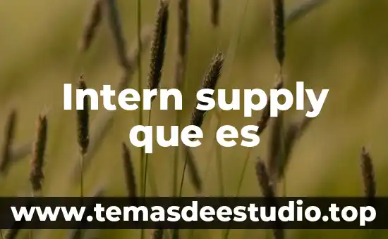 Intern supply que es