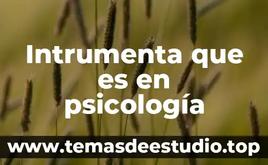 Intrumenta que es en psicología