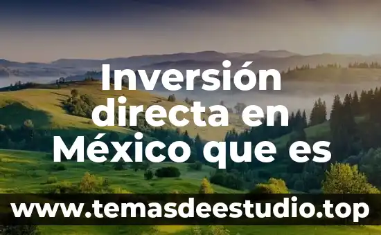 Que es la eutanasia directa y en que consiste 8 Inversión directa en México que es