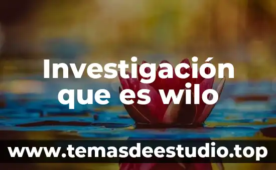 Que es la tecnologia 386 8 Investigación que es wilo