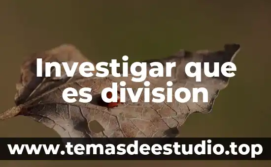Investigar que es el hongos 4 Investigar que es division