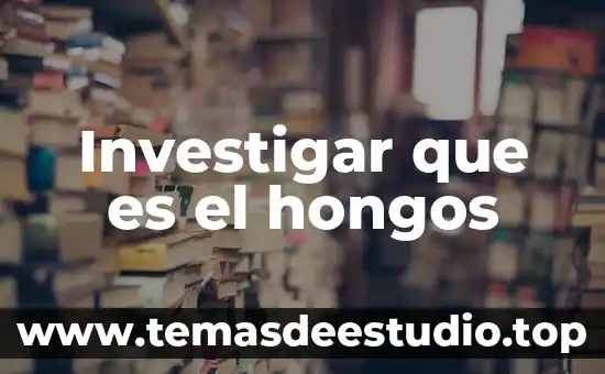 Investigar que es un ludograma 4 Investigar que es el hongos