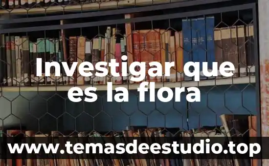 Investigar que es el hongos 3 Investigar que es la flora