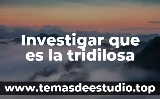 Investigar que es la tridilosa
