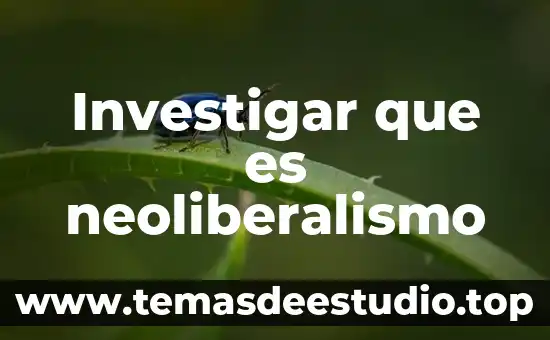 Investigar que es neoliberalismo