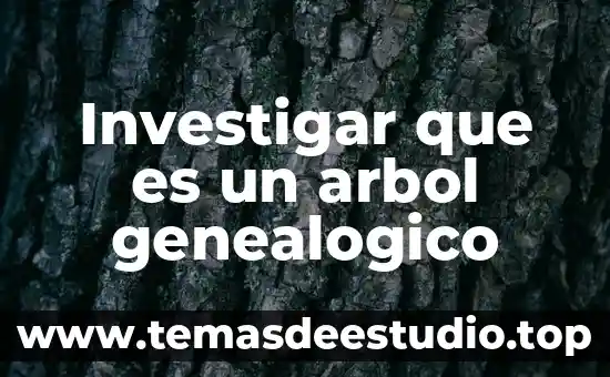 ¿Qué es un árbol en teoría de grafos? 4 Investigar que es un arbol genealogico