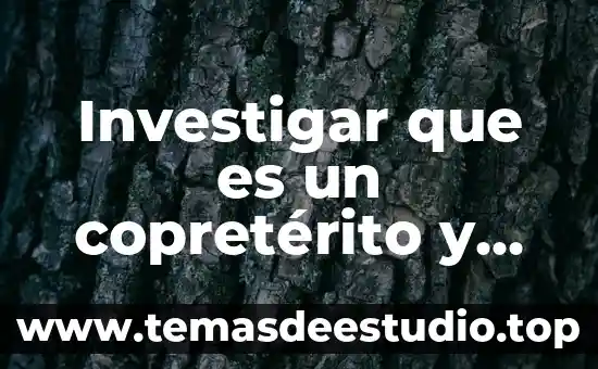 Investigar que es un copretérito y en que terminan
