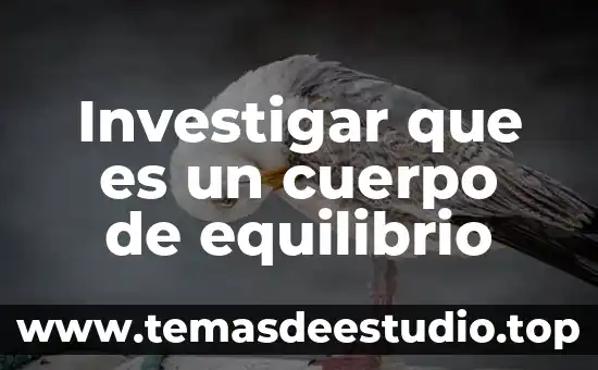 Investigar que es un cuerpo de equilibrio