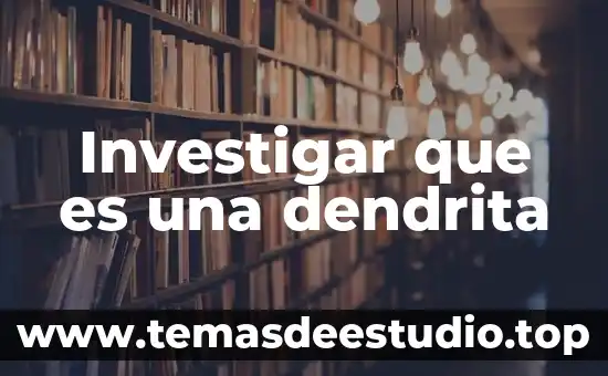 Investigar que es una dendrita