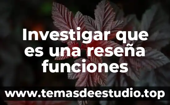 Investigar que es una reseña funciones