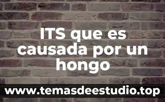 Que es significa la palabra mapa conceptualpalabra hongo 6 ITS que es causada por un hongo