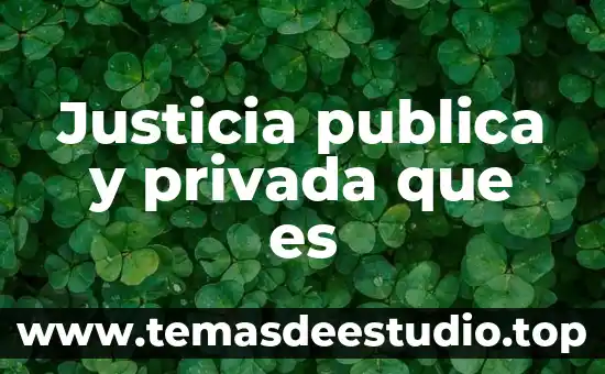 Qué es una escuela privada principales características 8 Justicia publica y privada que es