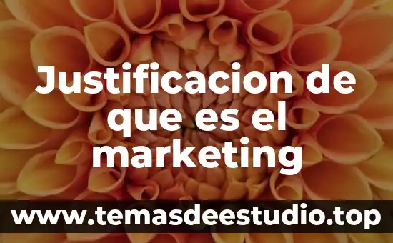 Justificacion de que es el marketing