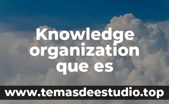 Welfare System que es 7 Knowledge organization que es
