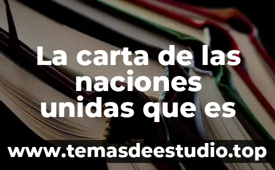 Que es un plantamiento del asunto de una carta 3 La carta de las naciones unidas que es