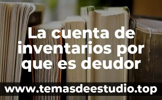 Que es control de inventarios en logistica concepto 7 La cuenta de inventarios por que es deudor
