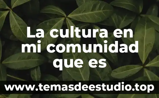 La cultura en mi comunidad que es