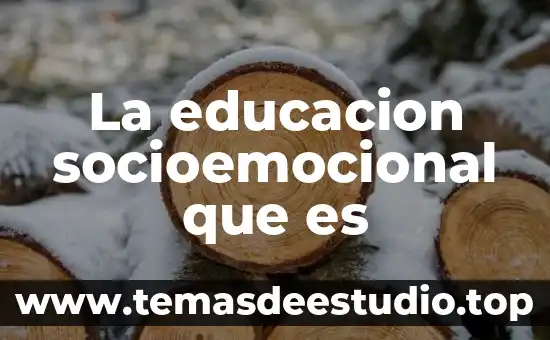 La educacion socioemocional que es