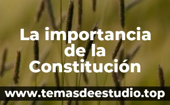 Qué es una constitución de fernando lasalle libro 7 La importancia de la Constitución